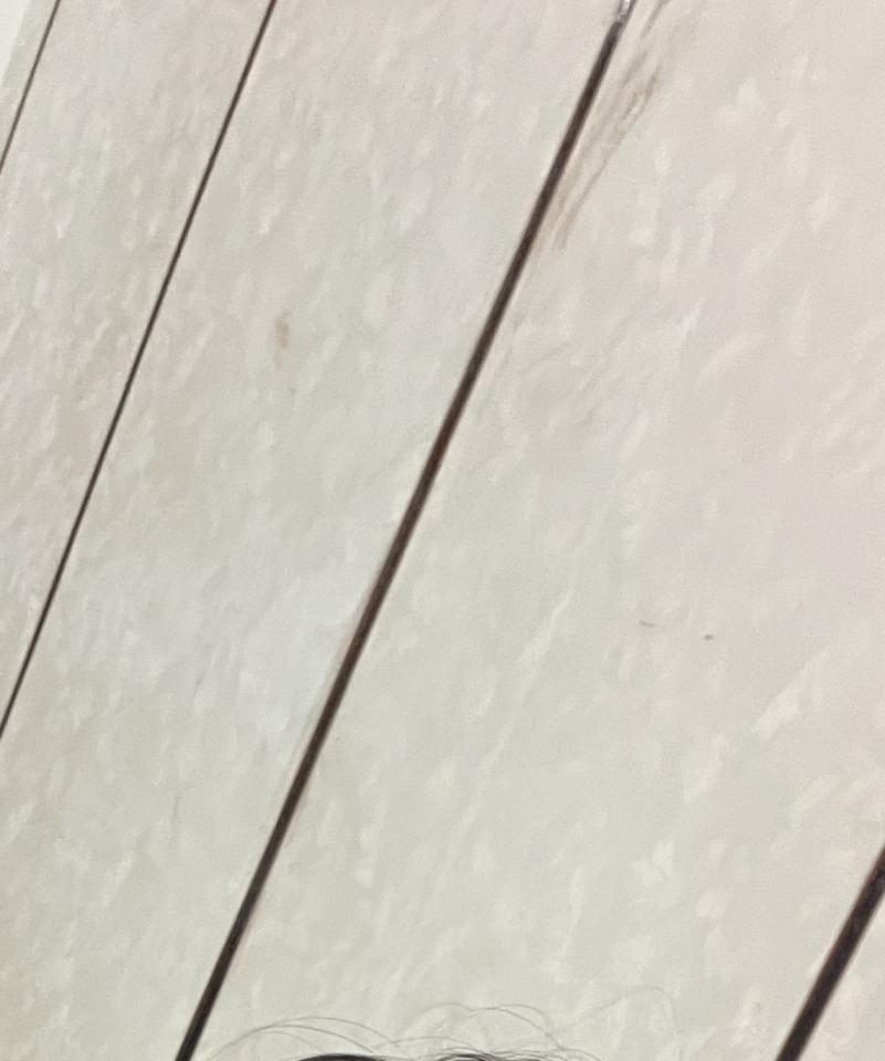 拆除工程案件圖片