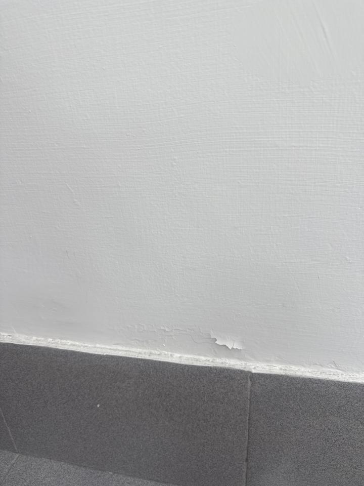 油漆工程案件圖片