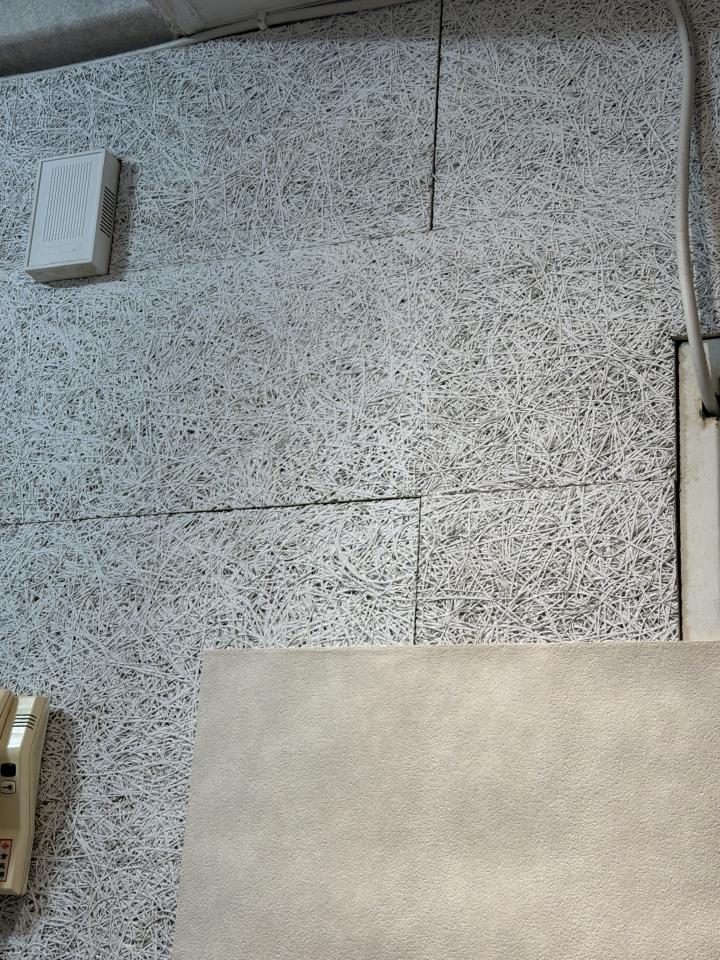 壁紙施工案件圖片