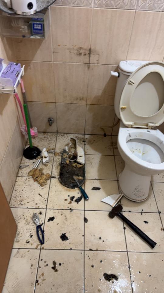 馬桶裝修案件圖片