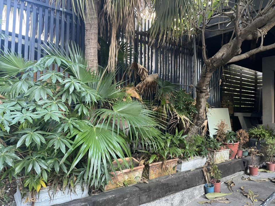 園藝維護案件圖片