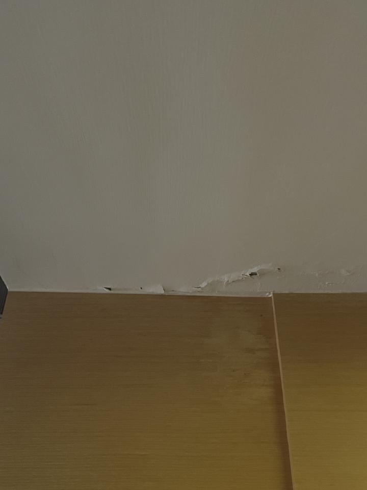 油漆工程案件圖片