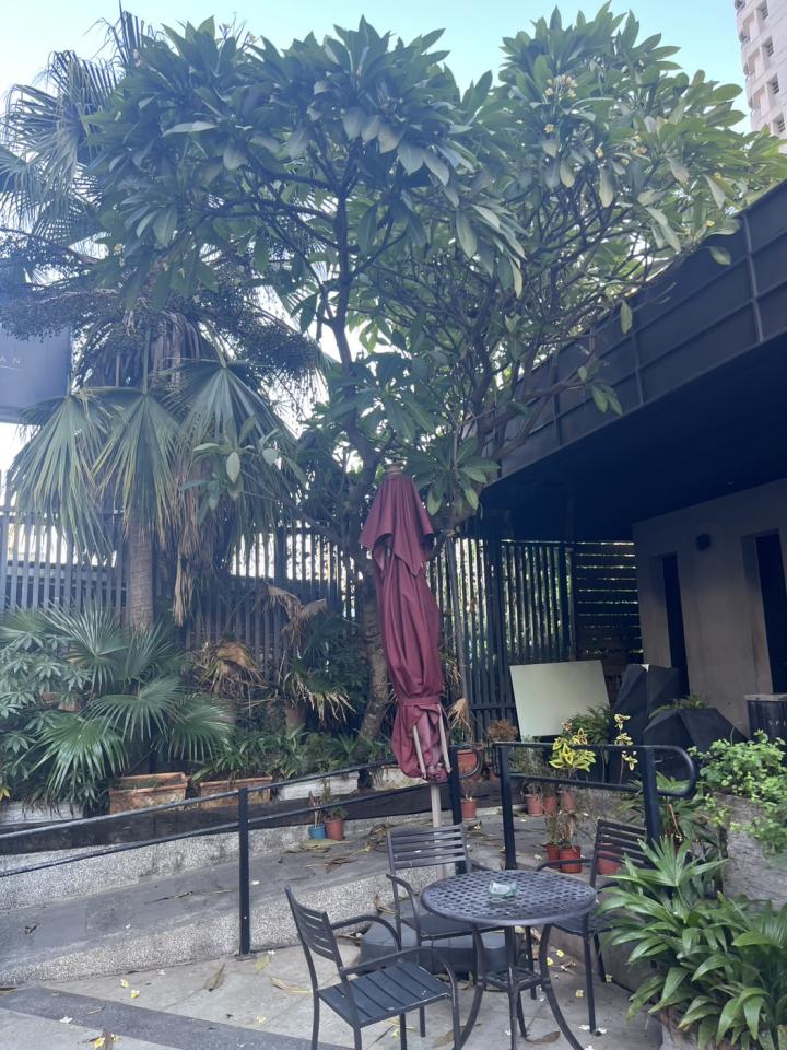 園藝維護案件圖片