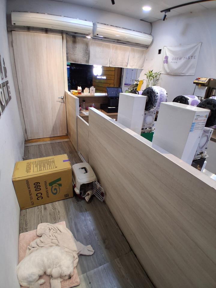 拆除工程案件圖片