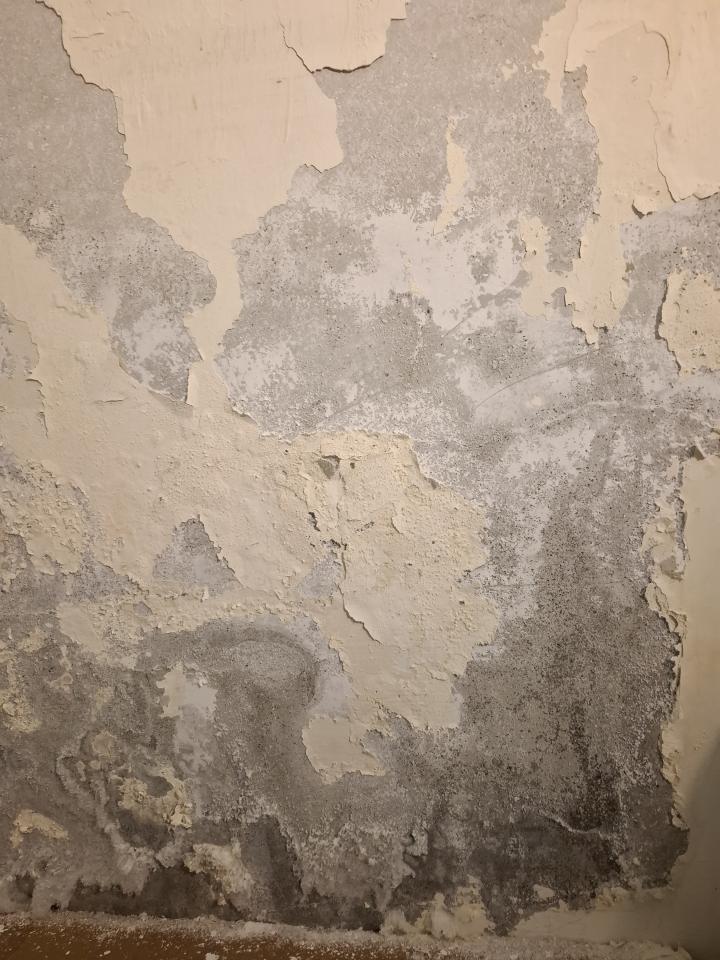 壁癌處理案件圖片