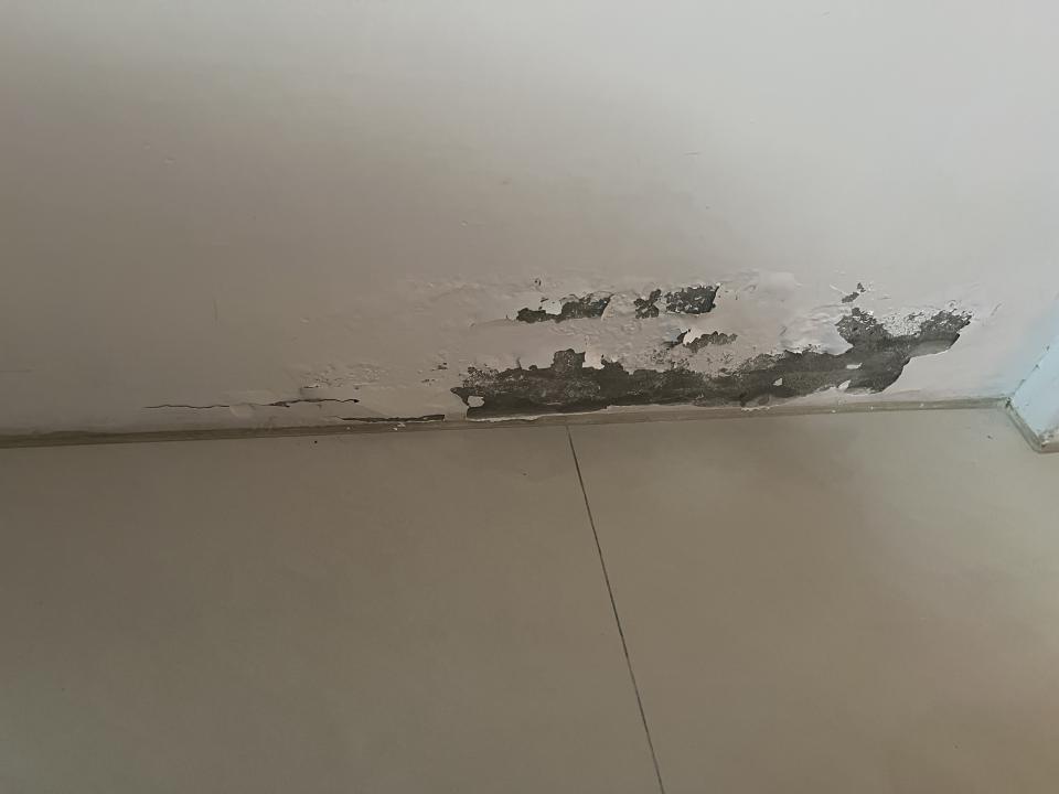 油漆工程案件圖片