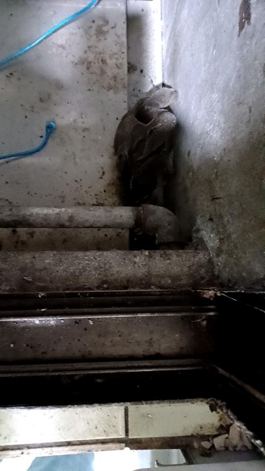 瓦斯管線更換案件圖片