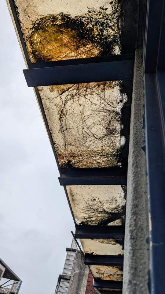 採光罩案件圖片