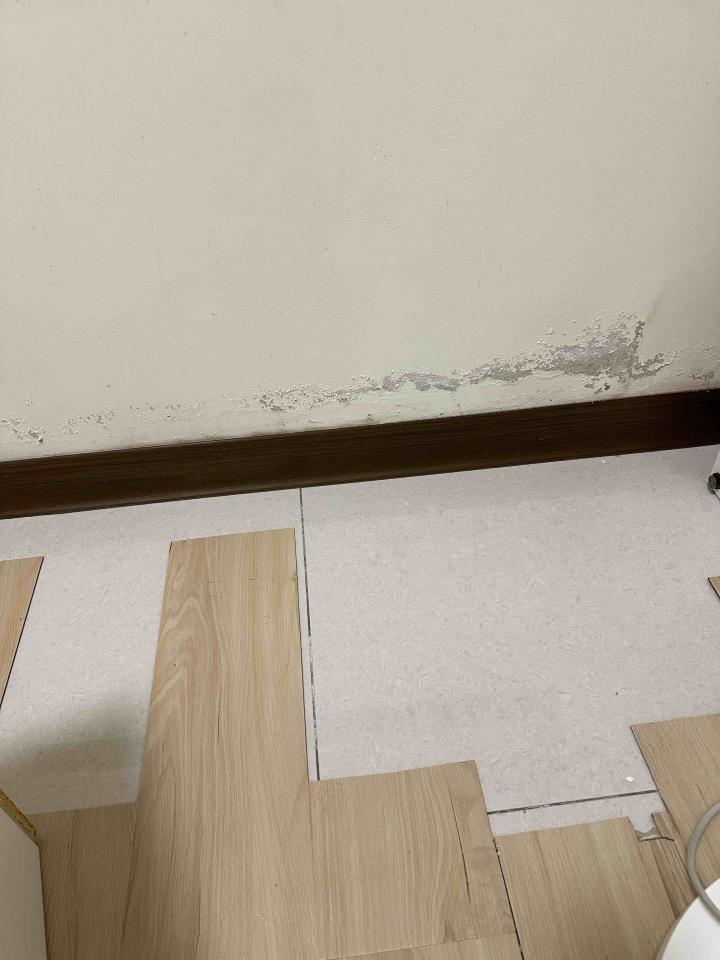 油漆工程案件圖片