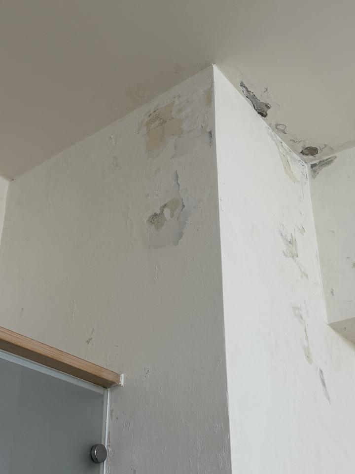 漏水處理案件圖片