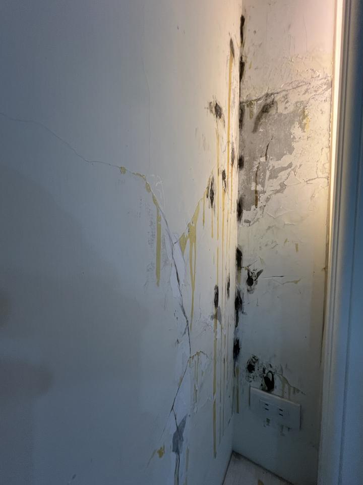 油漆工程案件圖片