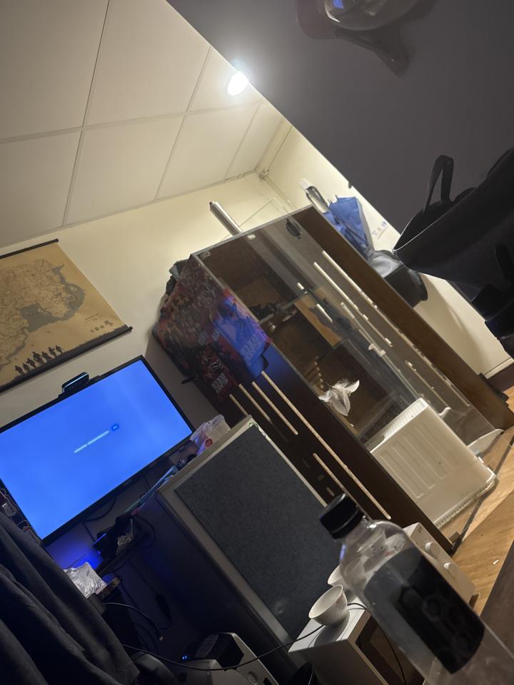 大型垃圾回收案件圖片