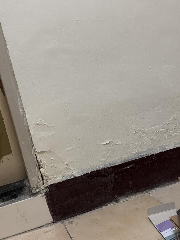 油漆工程案件圖片