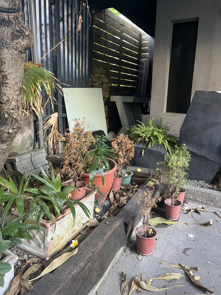 園藝維護案件圖片