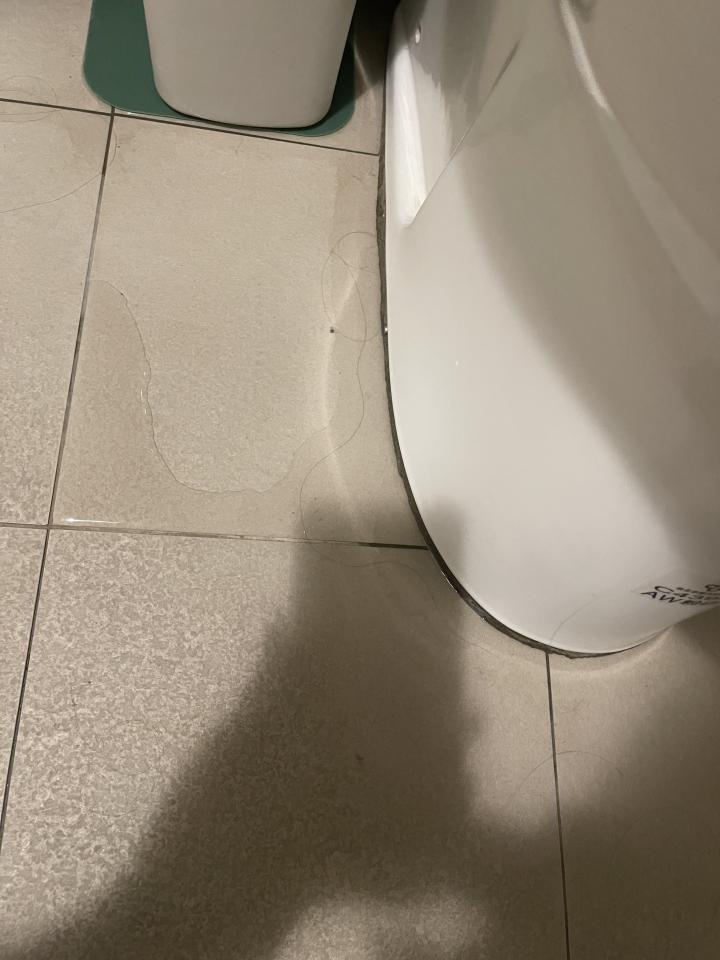 馬桶裝修案件圖片