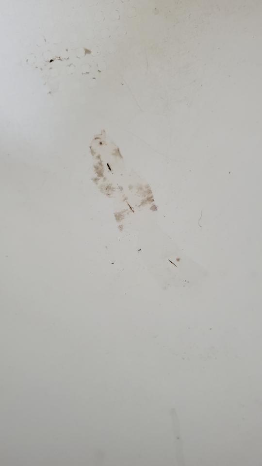 浴缸與淋浴裝修案件圖片