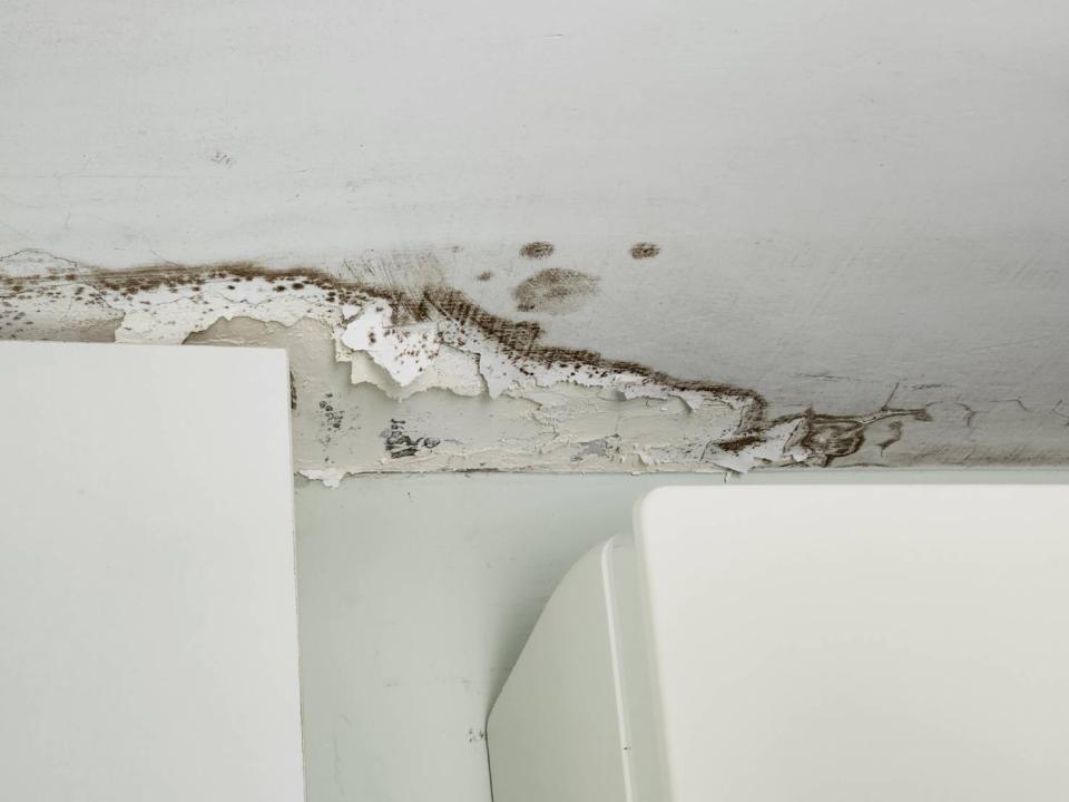 油漆工程案件圖片