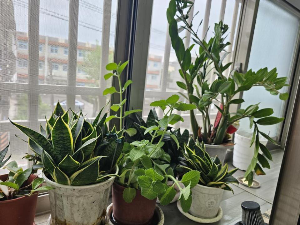 大型垃圾回收案件圖片