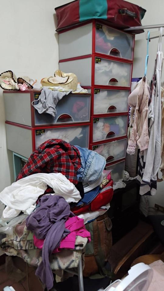 載貨運輸服務案件圖片