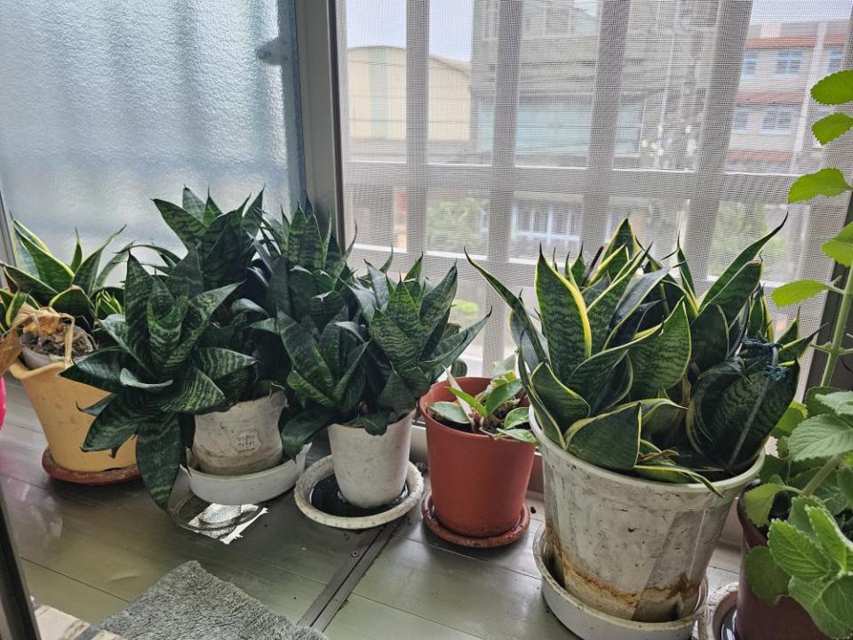 大型垃圾回收案件圖片