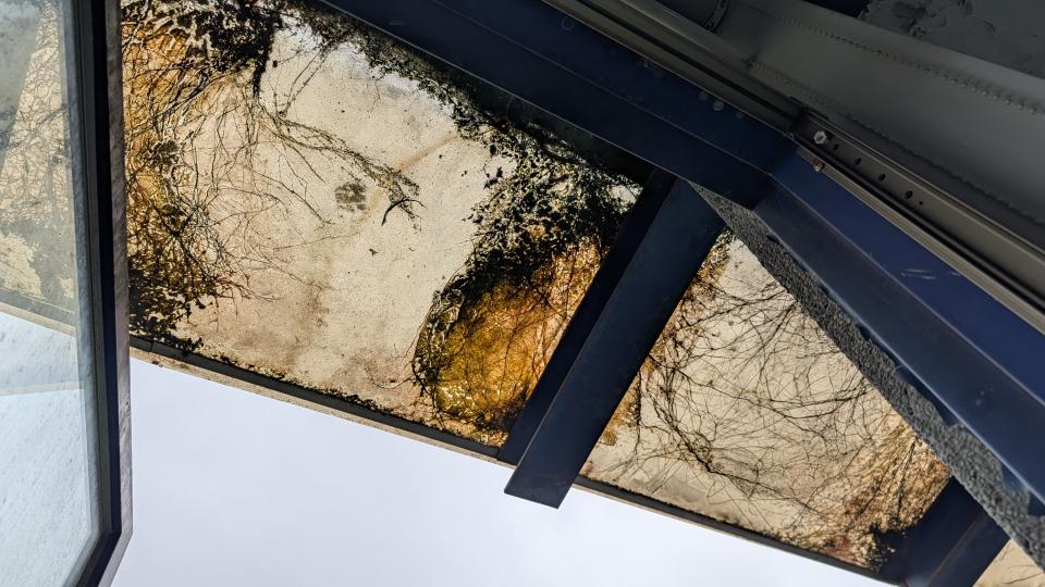 採光罩案件圖片