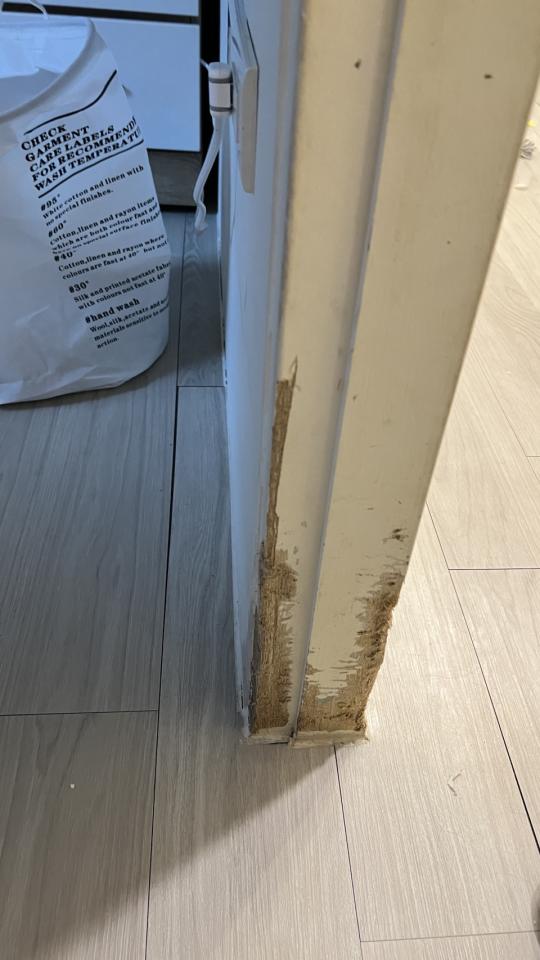 木工施工案件圖片