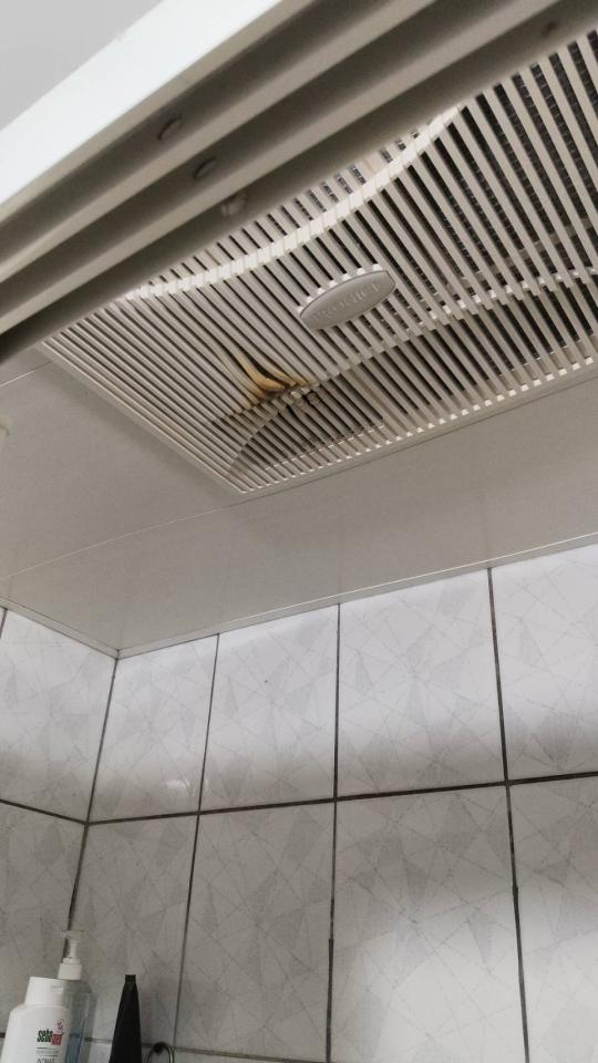 浴室暖風機安裝案件圖片