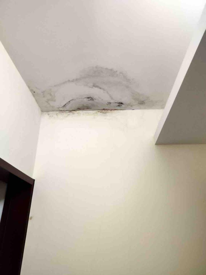 木工施工案件圖片