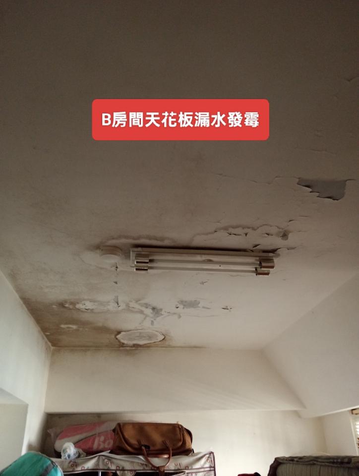 壁癌處理案件圖片