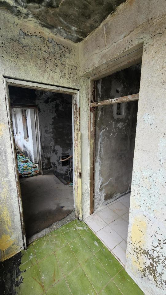 泥作/水泥施工案件圖片