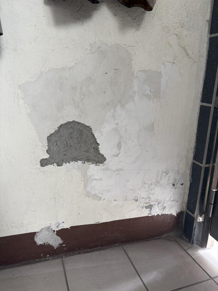 泥作/水泥施工案件圖片