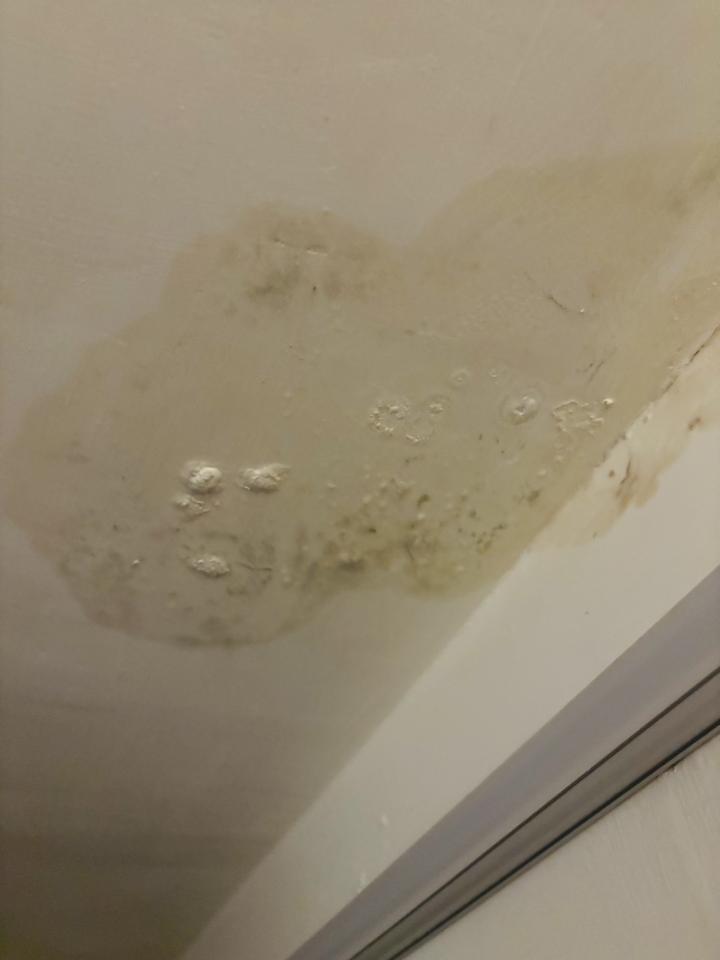 漏水處理案件圖片