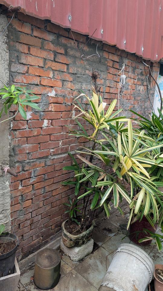 泥作/水泥施工案件圖片