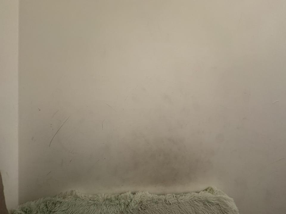 油漆工程案件圖片