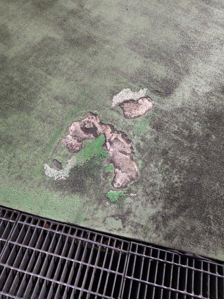 泥作/水泥施工案件圖片