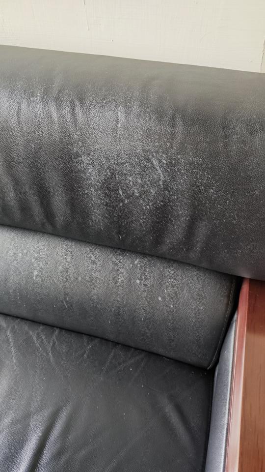 沙發修理案件圖片