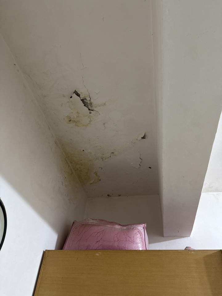 壁癌處理案件圖片