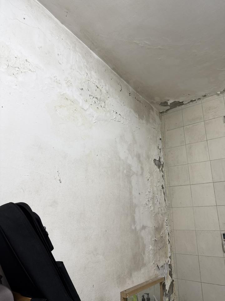 壁癌處理案件圖片