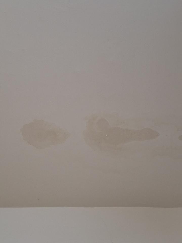 漏水處理案件圖片