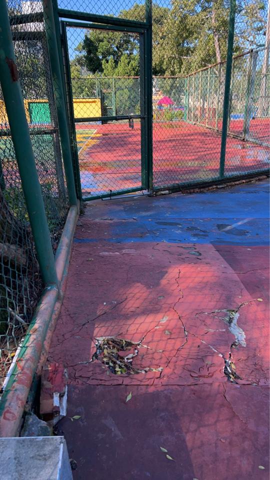 園藝維護案件圖片