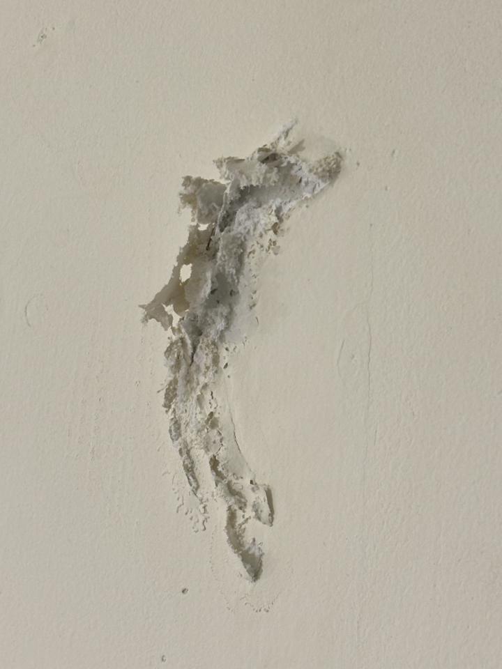 油漆工程案件圖片