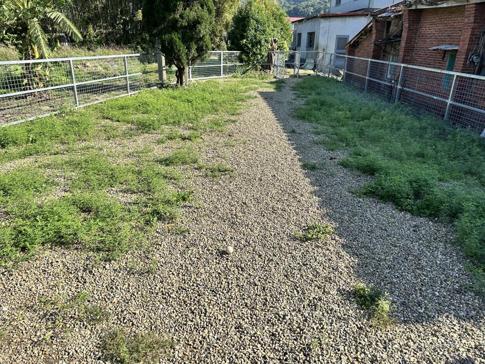 園藝維護案件圖片