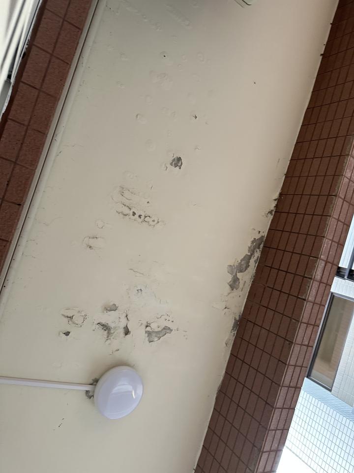 油漆工程案件圖片