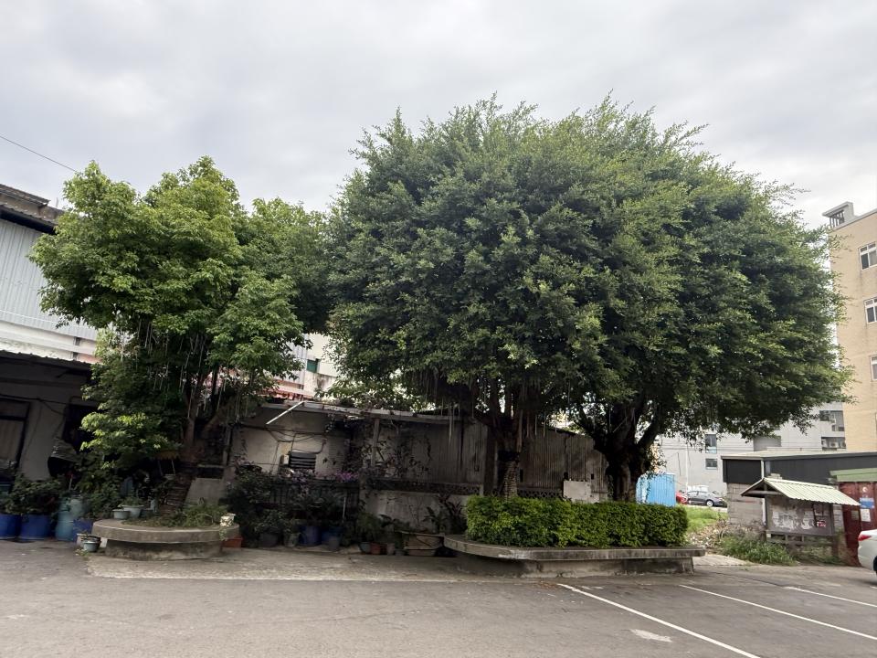 園藝維護案件圖片