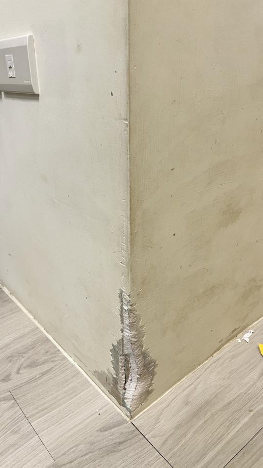 木工施工案件圖片