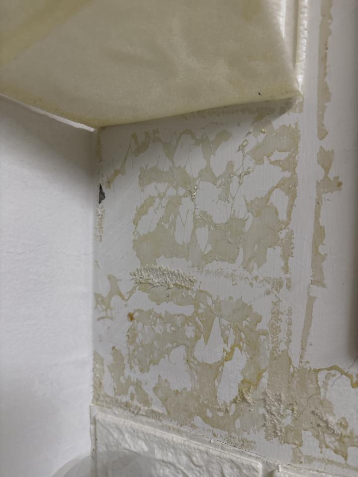 壁紙清除案件圖片