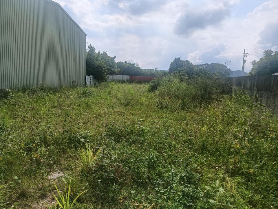 園藝維護案件圖片