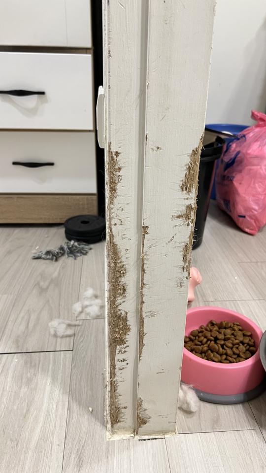 木工施工案件圖片