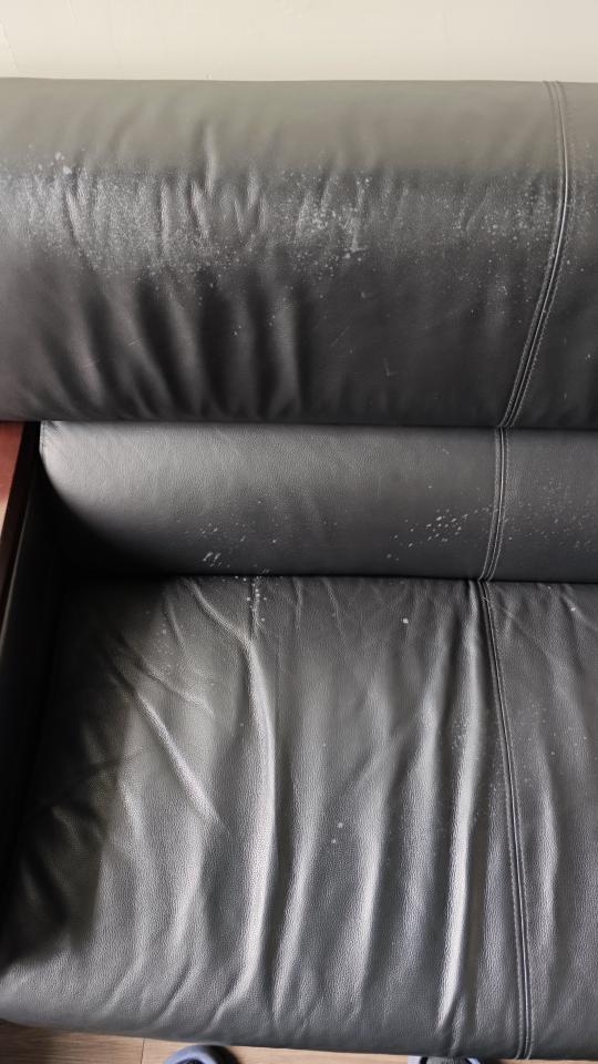 沙發修理案件圖片