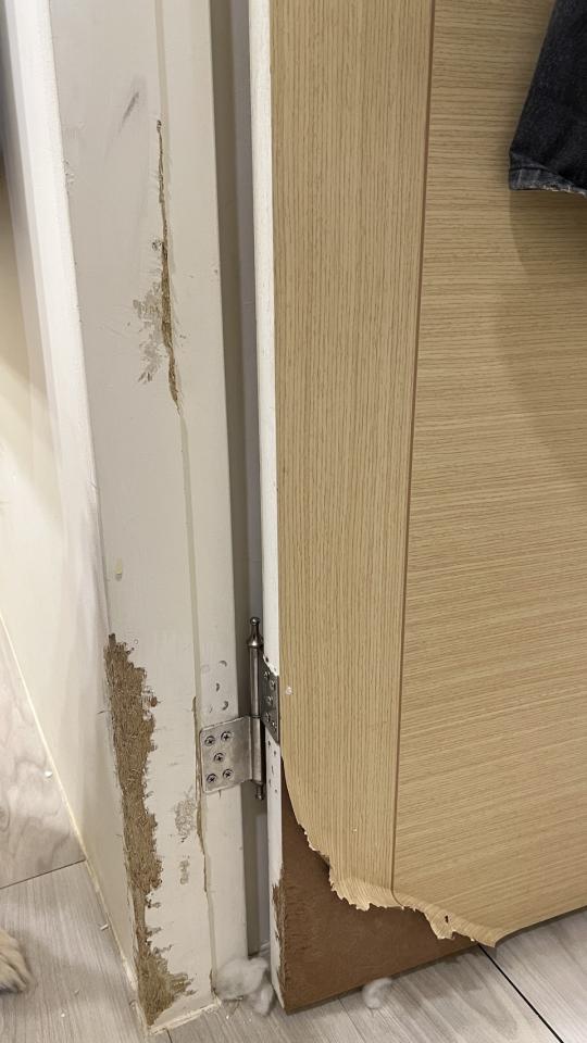 家具貼皮案件圖片